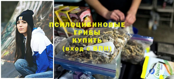 бутират Белокуриха