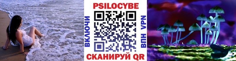Купить где  Ейск  Псилоцибиновые грибы Psilocybe 